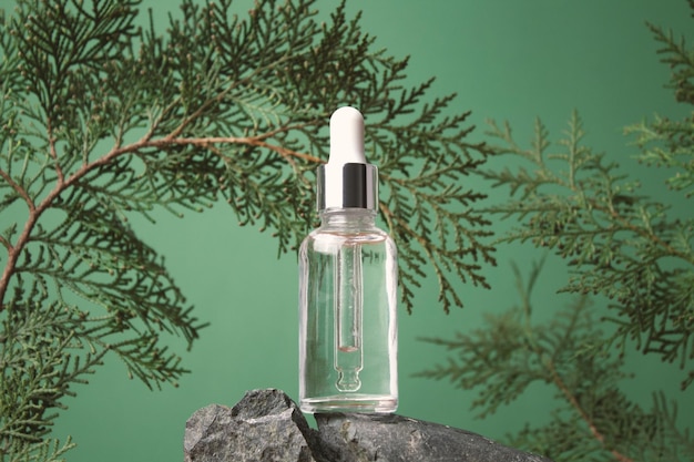 Flacon compte-gouttes en verre avec huile cosmétique essentielle ou sérum sur fond vert avec branches de thuya Concept de cosmétiques bio naturels Produits homéopathiques à base de plantes