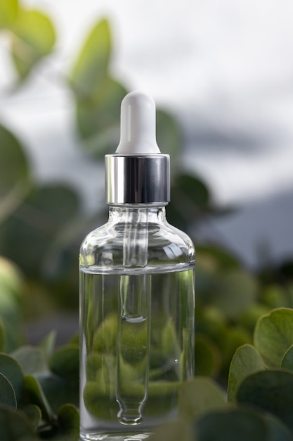 Flacon compte-gouttes en verre avec sérum hyaluronique hydratant, huile cosmétique à l'extrait d'eucalyptus, soins de la peau ou du corps, concept de cosmétique à base de plantes