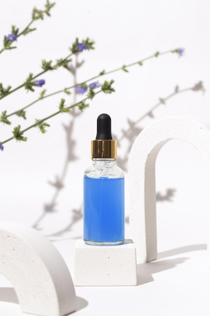 Flacon cosmétique avec pipette compte-gouttes avec sérum ou huile essentielle en arche avec fleurs de chicorée Cosmétique de soins de la peau Concept de beauté pour les soins du visage et du corps