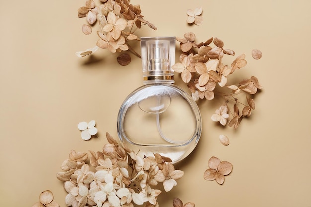 Flacon de parfum féminin et arrangement de fleurs sèches sur fond beige Couleurs terreuses naturelles