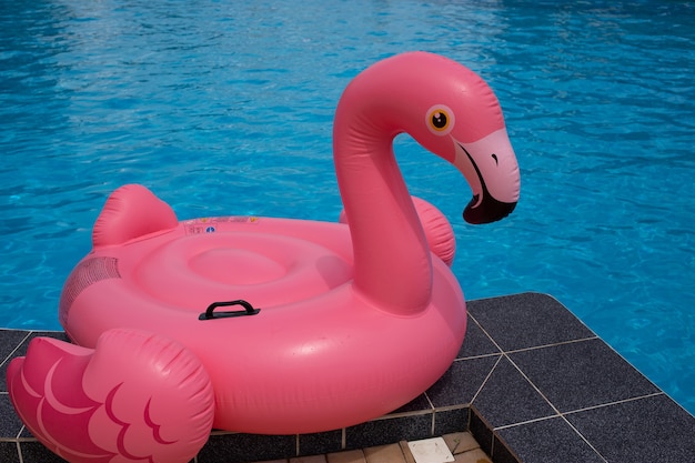 Flamant rose gonflable dans la piscine