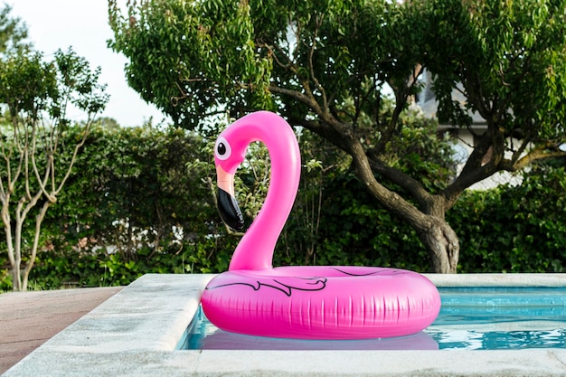 Flamant rose gonflable dans la piscine