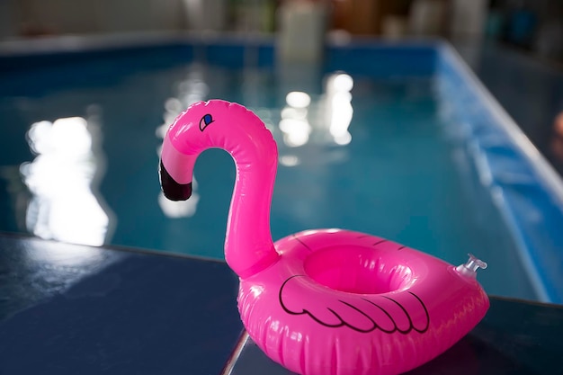 Flamant rose jouet sur le fond de la piscine