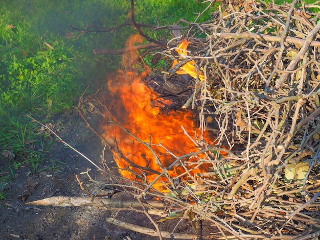 Photo flamme de feu brûlant