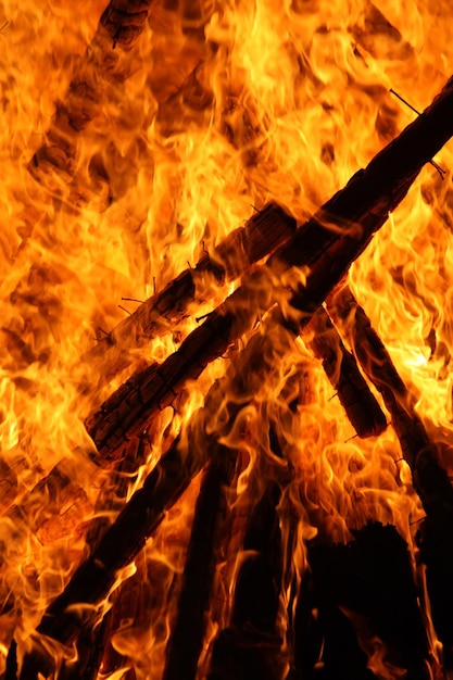 Flamme de feu de joie lumineuse à l'extérieur Bois de chauffage et bâtons de bois brûlant dans le feu