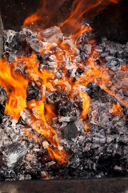 Flamme orange du feu tout en brûlant des branches et du bois de chauffage