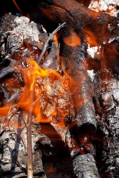 Flamme orange du feu tout en brûlant des branches et du bois de chauffage