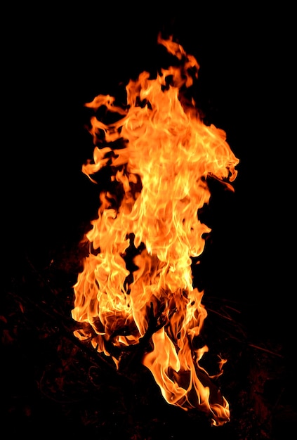 Flammes de feu isolées sur fond noir