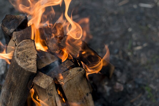 Flammes de gros plan de feu de joie