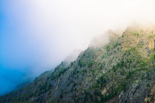 Flanc de montagne diagonal avec forêt dans le brouillard du matin se bouchent. Montagne géante dans la brume.