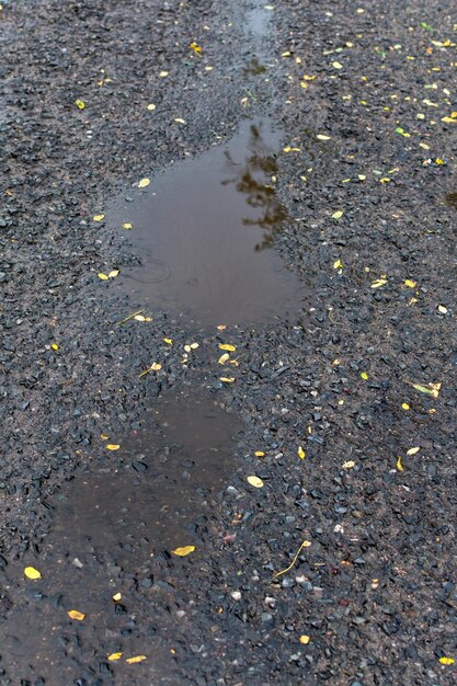 Flaque d'eau après la pluie sur l'asphalte avec de petites feuilles jaunes Fond pluvieux d'automne