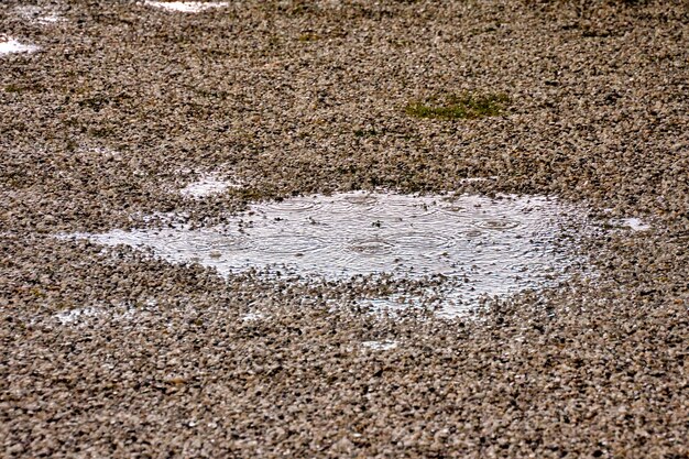 Une flaque d'eau et des gouttes de pluie