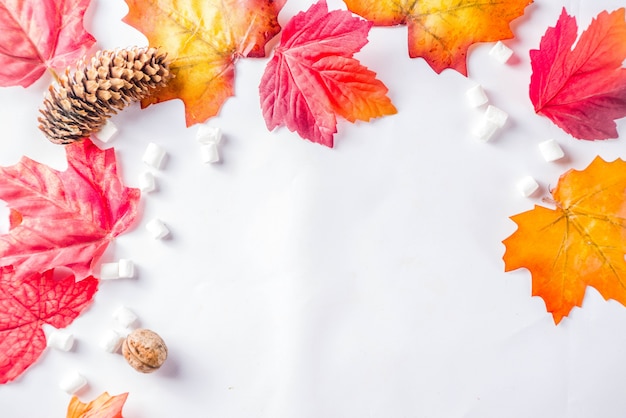 Flatlay D'automne Avec Cappuccino Ou Chocolat Chaud