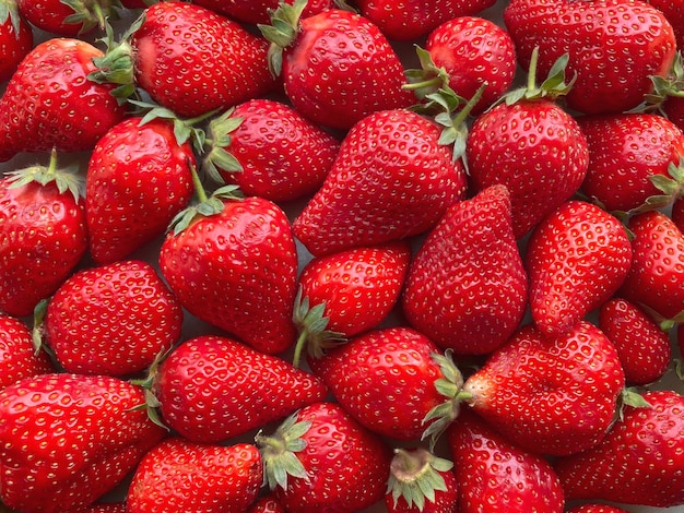 Flatlay d'un grand nombre de fraises. Fond naturel.