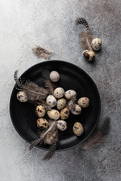 Flatlay vue de dessus d'oeuf de caille