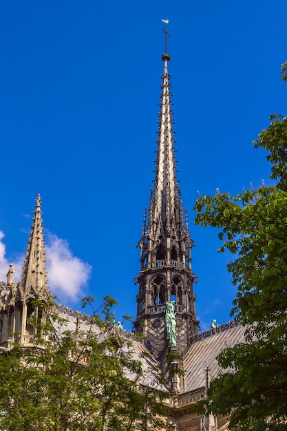 Flèche de la cathédrale de Notre Dame de Paris France