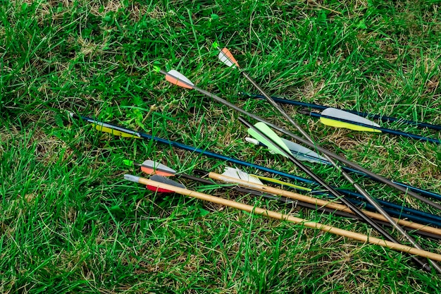 Flèches pour le tir à l'arc se trouvant sur l'herbe