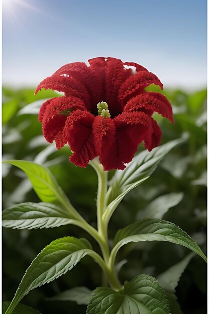 une fleur d'apparence réaliste