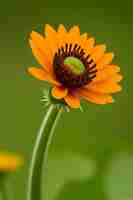 Photo une fleur d'apparence réaliste