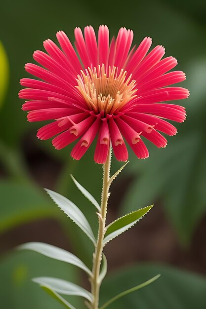 une fleur d'apparence réaliste