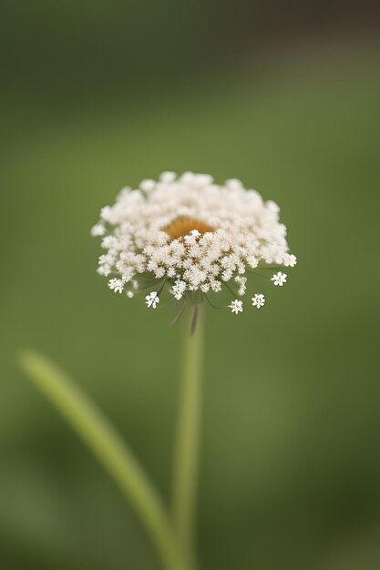 Photo une fleur d'apparence réaliste