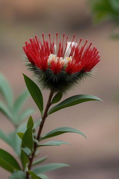 une fleur d'apparence réaliste