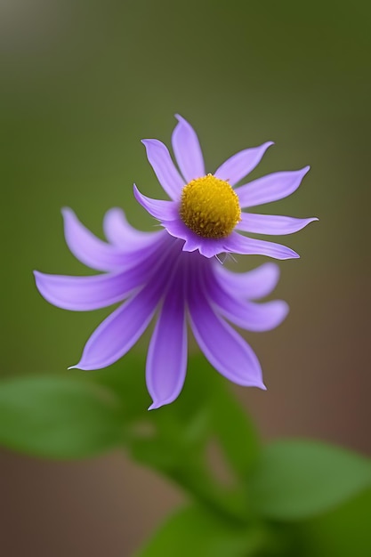 une fleur d'apparence réaliste