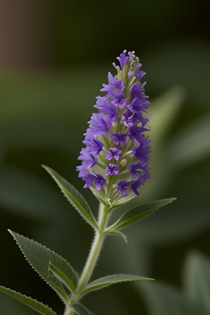 une fleur d'apparence réaliste