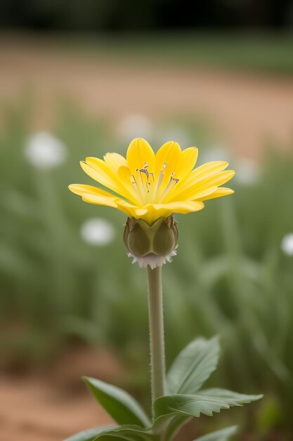 Photo une fleur d'apparence réaliste