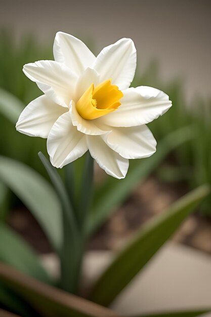 une fleur d'apparence réaliste