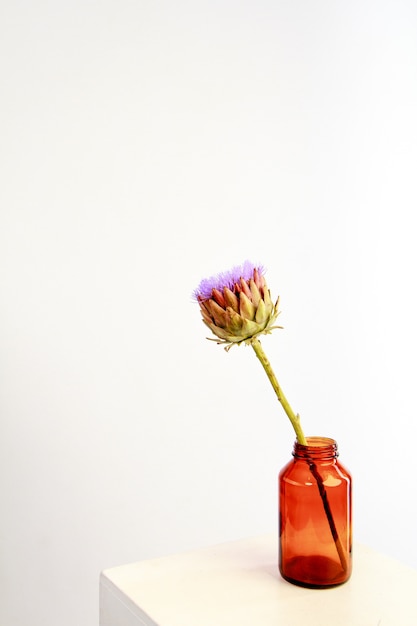 Fleur d'artichaut unique dans un vase en verre sur un mur blanc, mise au point sélective