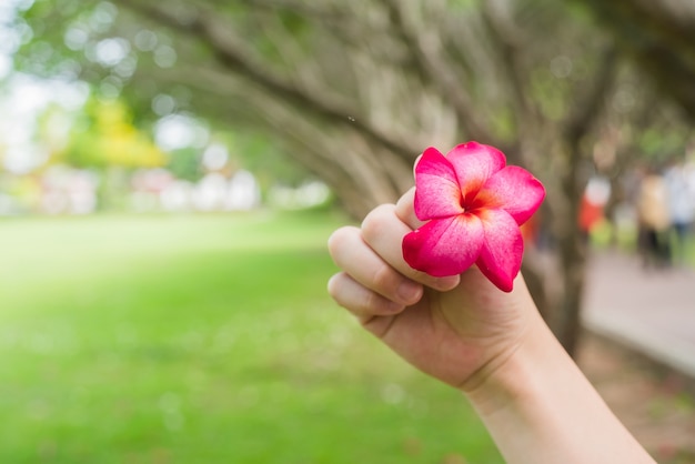 Fleur d&#39;automne dans les mains de la fille