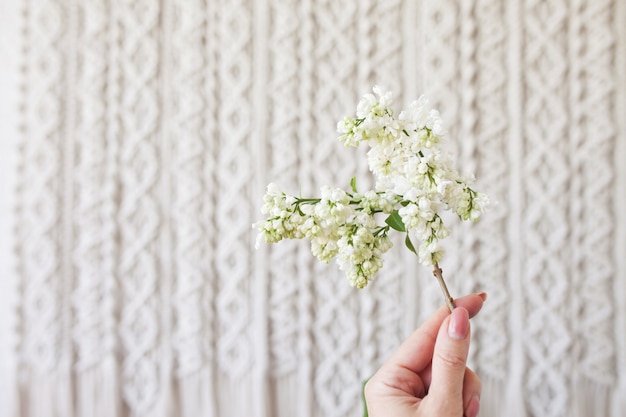 Fleur blanche sur macramé. Concept de décoration naturelle bricolage écologique à tricoter moderne à l'intérieur. Mise à plat. Macramé fait main 100% coton. Passe-temps féminin. Copier l'espace