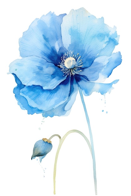 une fleur bleue avec un anneau d'or au milieu