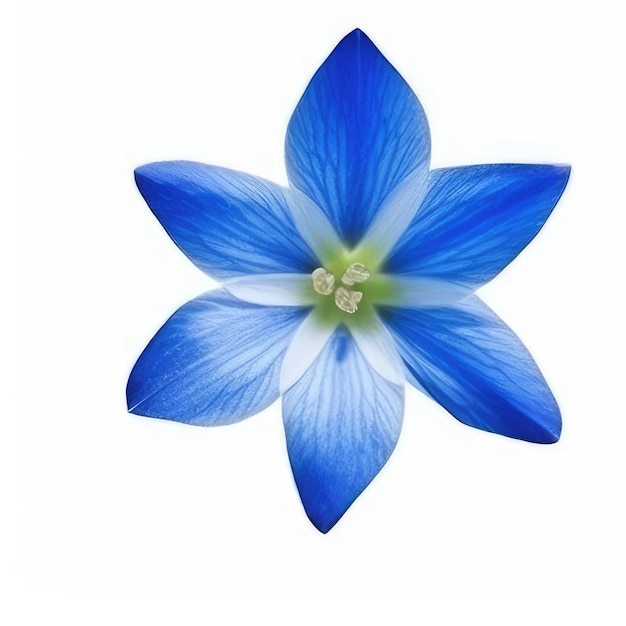 Une fleur bleue avec le centre vert est représentée au milieu.