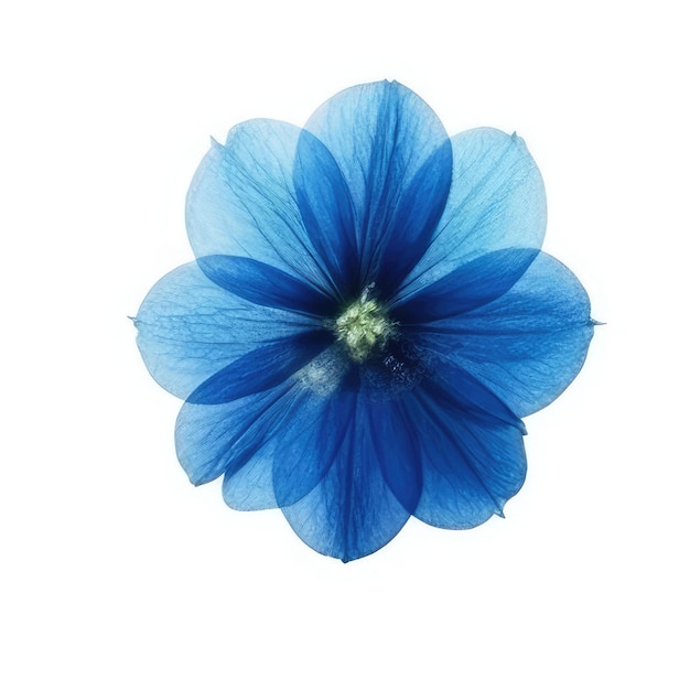 Une fleur bleue avec un centre vert qui dit « bleu »