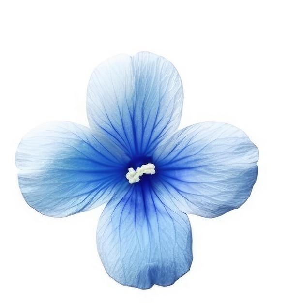 Une fleur bleue avec une fleur blanche au milieu.