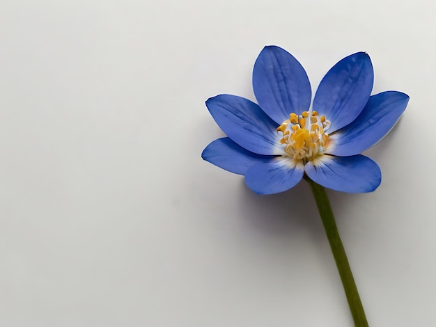 Photo fleur bleue isolée sur fond blanc ai générée