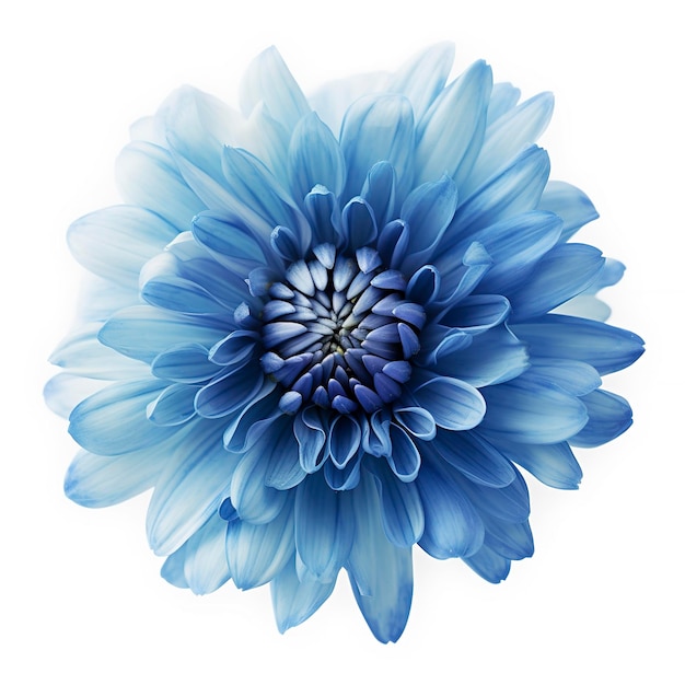 Fleur bleue isolée sur fond blanc png avec transparence générer ai