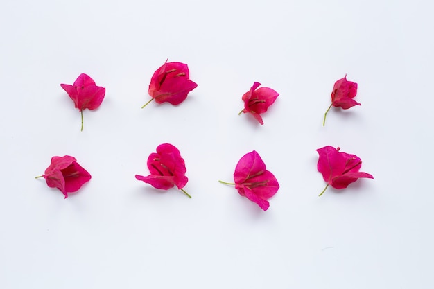 Fleur de bougainvillier rouge isolé