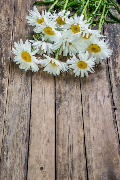 Photo fleur de camomille dans un style rustique