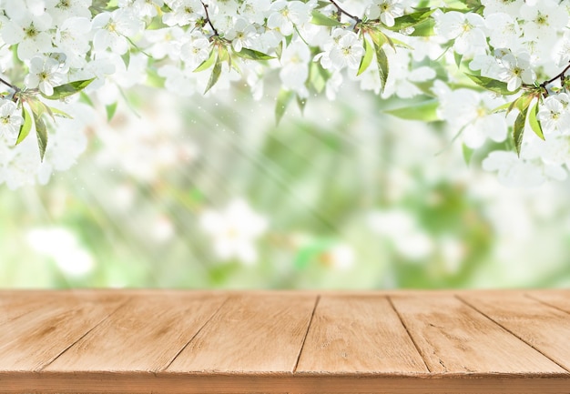 Fleur de cerise ou d'appliquer le jardin inondé de lumière solaire et vide arrière-plan en bois avec l'espace de copie Joyeux Pâques ou Pâques arrière-plans Femmes ou fête de la mère Journée mondiale de l'environnement Mock up