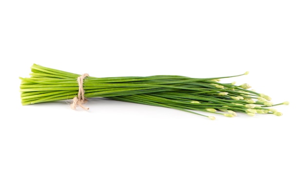 Fleur de ciboulette chinoise sur fond blanc