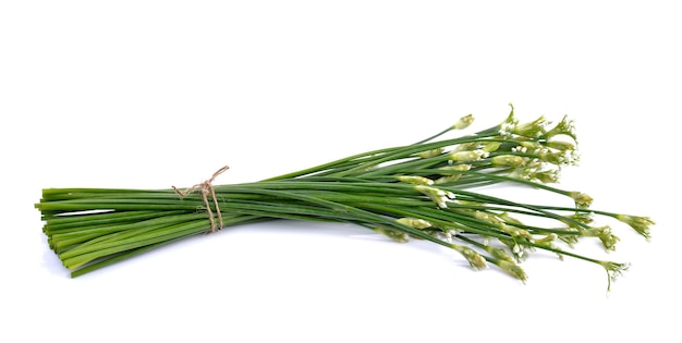 Photo fleur de ciboulette ou ciboulette chinoise sur blanc