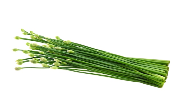 Fleur de ciboulette ou ciboulette chinoise sur fond blanc