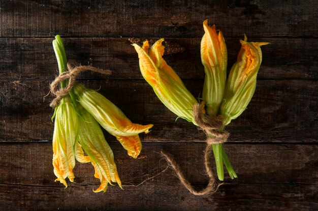 La fleur de citrouille jaune fraîche