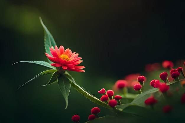 fleur colorée avec une feuille verte sur