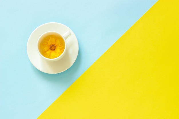 Une fleur de coréopsis jaune en coupe sur fond de papier jaune et bleu