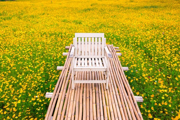 Fleur cosmos jaune avec passerelle