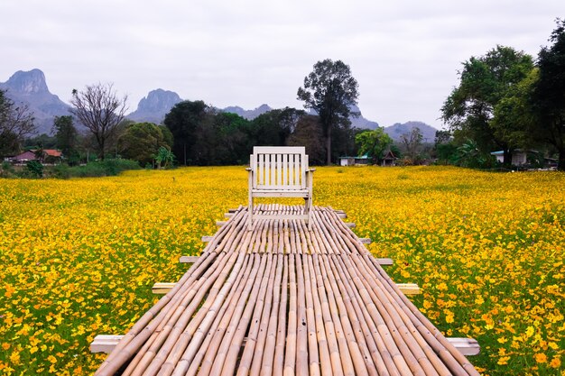 Fleur cosmos jaune avec passerelle